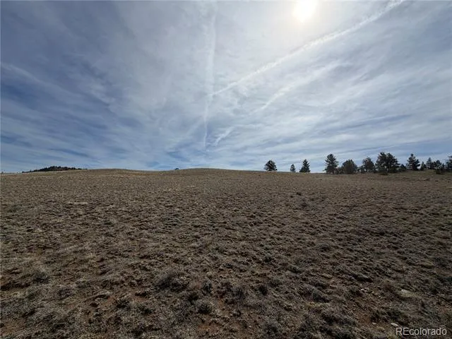 990 Coyotero Trail Hartsel, CO 80449
