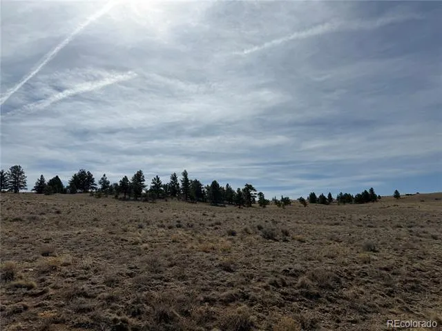 990 Coyotero Trail Hartsel, CO 80449