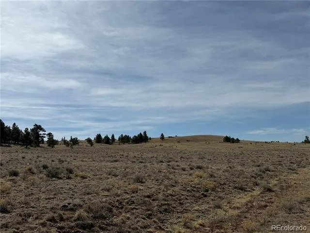 990 Coyotero Trail Hartsel, CO 80449