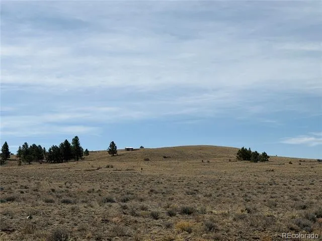 990 Coyotero Trail Hartsel, CO 80449