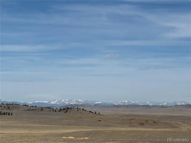 990 Coyotero Trail Hartsel, CO 80449