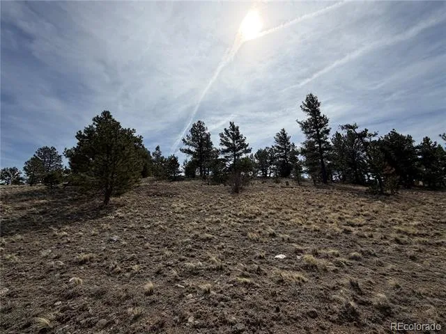 990 Coyotero Trail Hartsel, CO 80449
