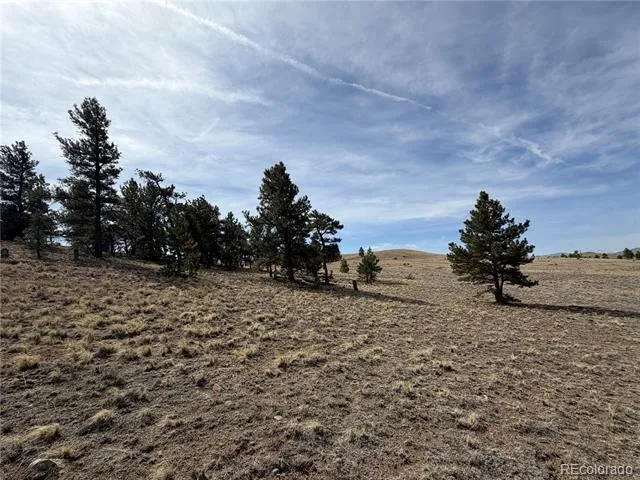990 Coyotero Trail Hartsel, CO 80449