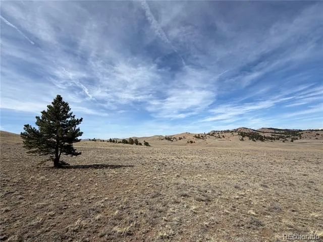 990 Coyotero Trail Hartsel, CO 80449