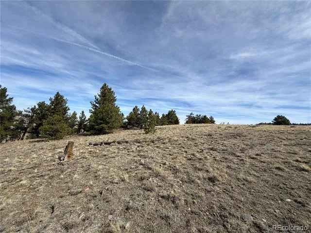 990 Coyotero Trail Hartsel, CO 80449