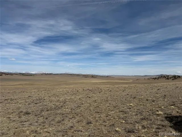 990 Coyotero Trail Hartsel, CO 80449