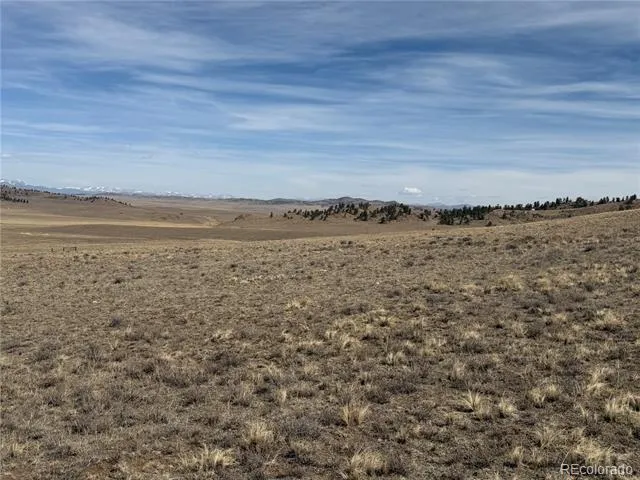 990 Coyotero Trail Hartsel, CO 80449