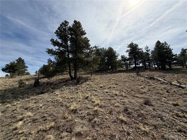 990 Coyotero Trail Hartsel, CO 80449