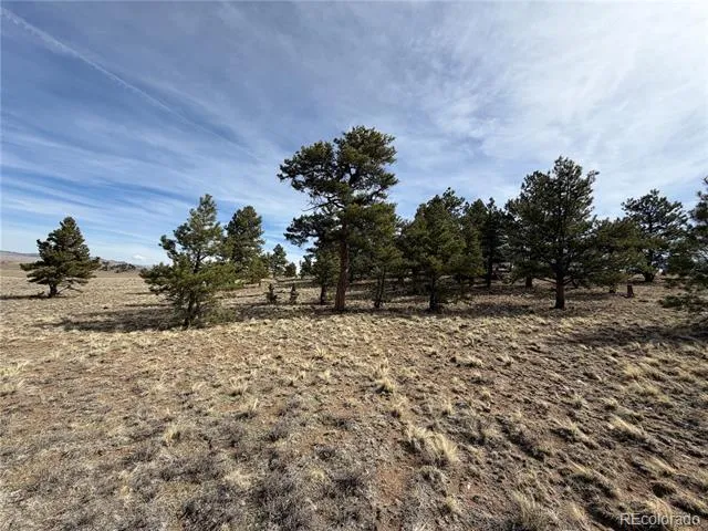 990 Coyotero Trail Hartsel, CO 80449