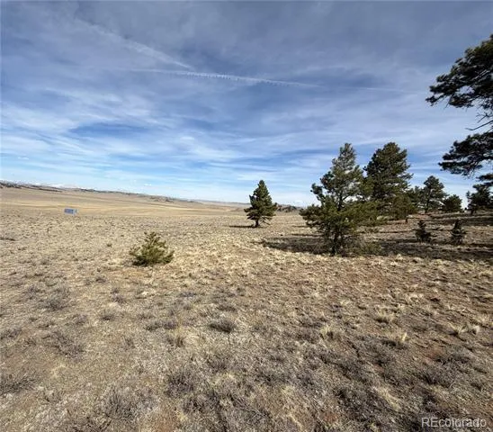 990 Coyotero Trail Hartsel, CO 80449