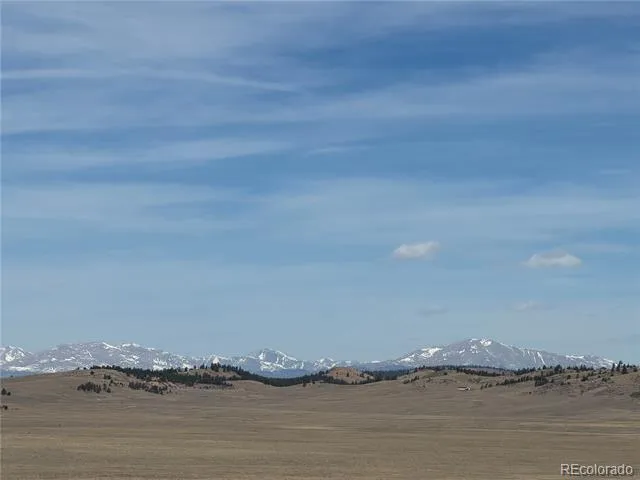 990 Coyotero Trail Hartsel, CO 80449