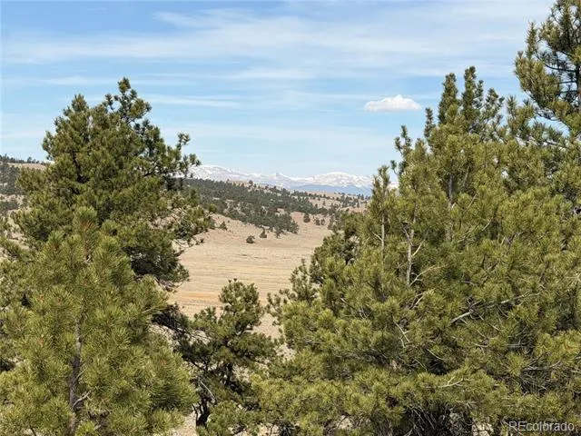 990 Coyotero Trail Hartsel, CO 80449