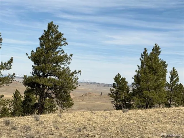 990 Coyotero Trail Hartsel, CO 80449