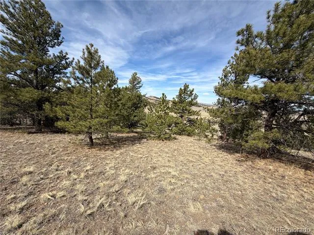 990 Coyotero Trail Hartsel, CO 80449