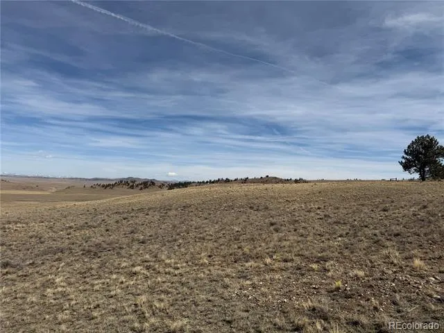 990 Coyotero Trail Hartsel, CO 80449