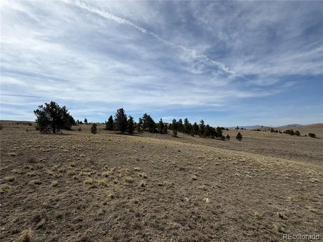 990 Coyotero Trail Hartsel, CO 80449