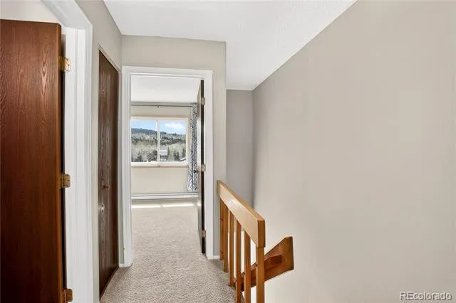 258 Cove Boulevard #9 Dillon, CO 80435