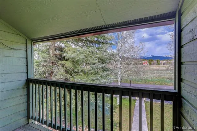 258 Cove Boulevard #9 Dillon, CO 80435