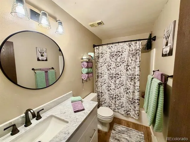 258 Cove Boulevard #9 Dillon, CO 80435