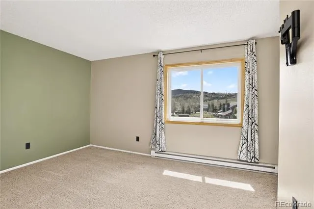 258 Cove Boulevard #9 Dillon, CO 80435