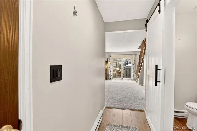 258 Cove Boulevard #9 Dillon, CO 80435