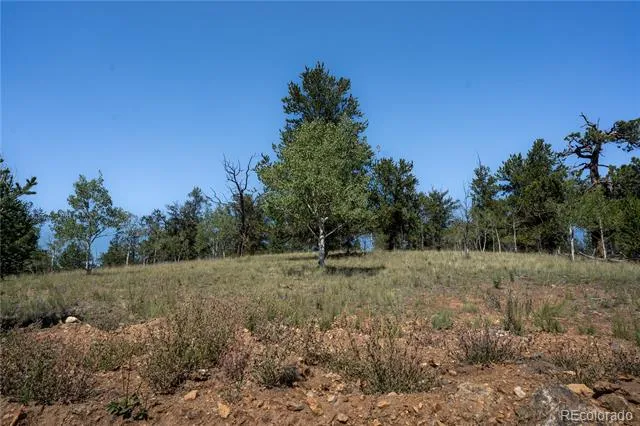 530 Gitche Goone Lane Como, CO 80432
