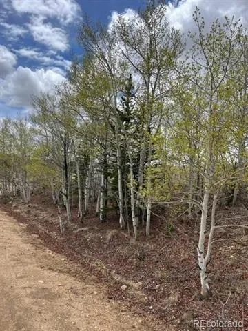 530 Gitche Goone Lane Como, CO 80432
