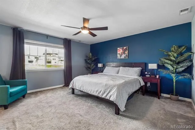 5215 Ditmars Trail Castle Rock, CO 80104