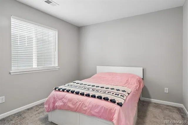 5215 Ditmars Trail Castle Rock, CO 80104