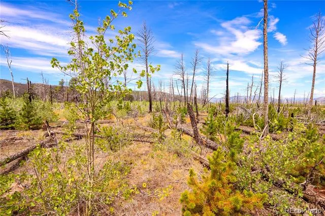 1386 Emery Loop Fort Garland, CO 81133