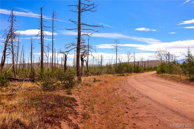 1386 Emery Loop Fort Garland, CO 81133