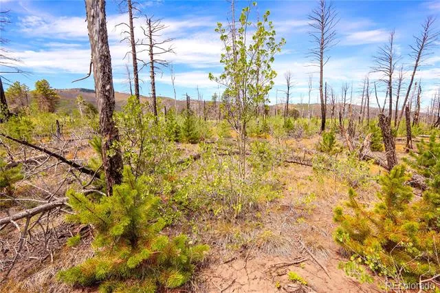 1386 Emery Loop Fort Garland, CO 81133