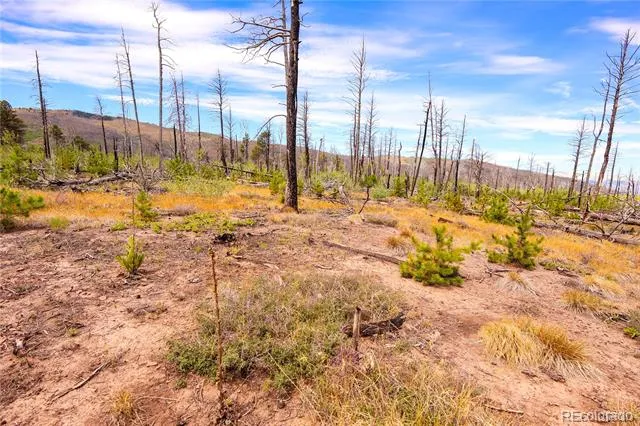 1386 Emery Loop Fort Garland, CO 81133