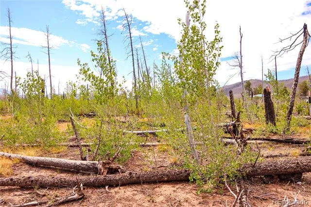 1386 Emery Loop Fort Garland, CO 81133