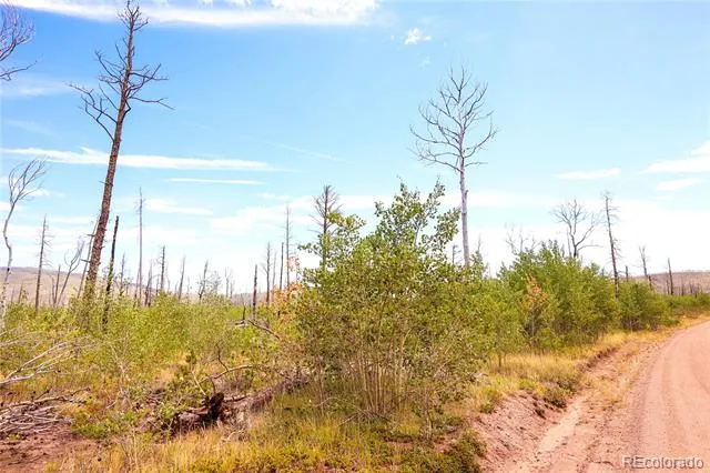 1386 Emery Loop Fort Garland, CO 81133