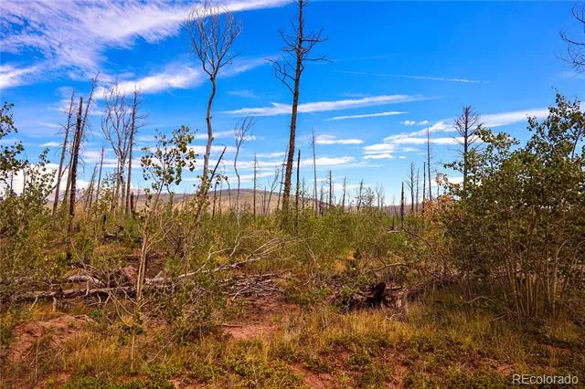 1386 Emery Loop Fort Garland, CO 81133