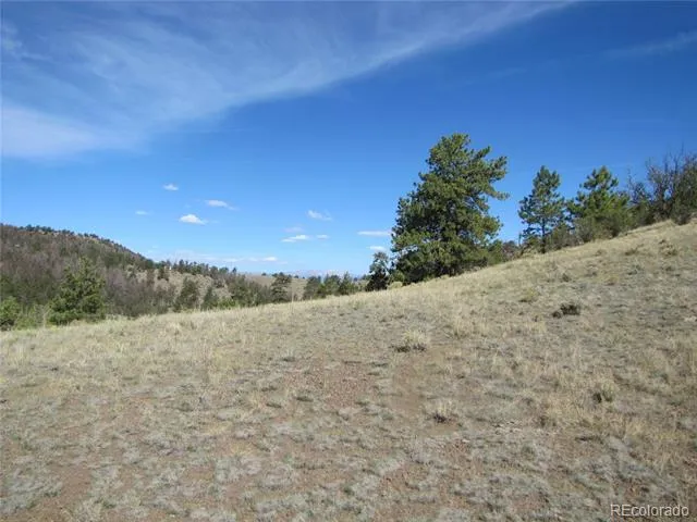 227 Keechi Road Hartsel, CO 80449