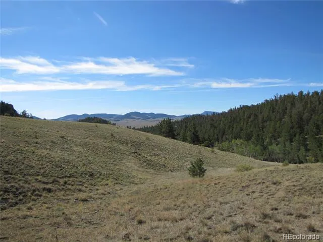 227 Keechi Road Hartsel, CO 80449