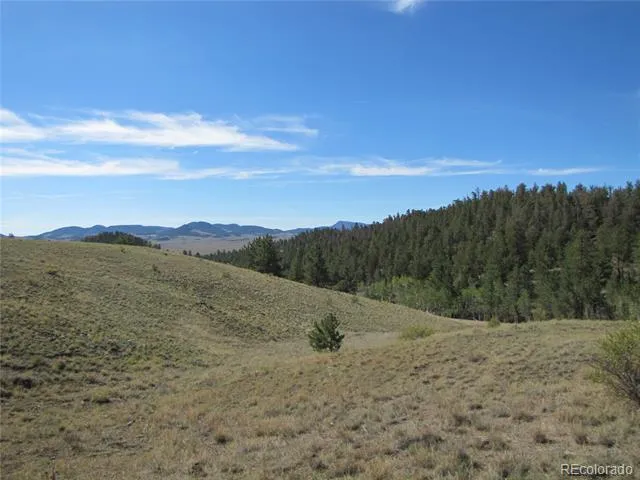227 Keechi Road Hartsel, CO 80449