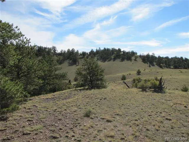 227 Keechi Road Hartsel, CO 80449