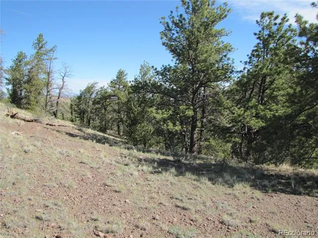 227 Keechi Road Hartsel, CO 80449