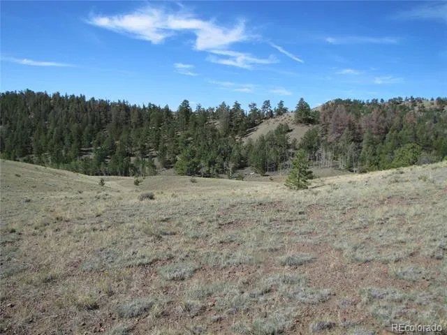 227 Keechi Road Hartsel, CO 80449