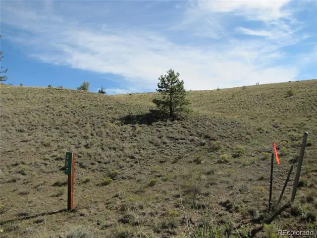 227 Keechi Road Hartsel, CO 80449
