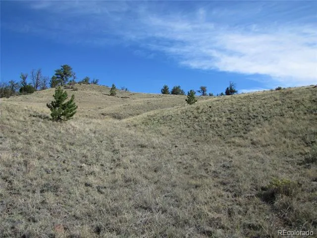 227 Keechi Road Hartsel, CO 80449