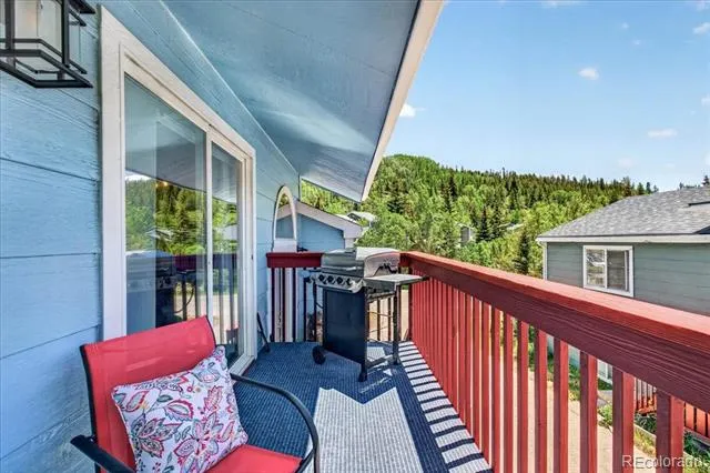 796 Alpine Road Dillon, CO 80435