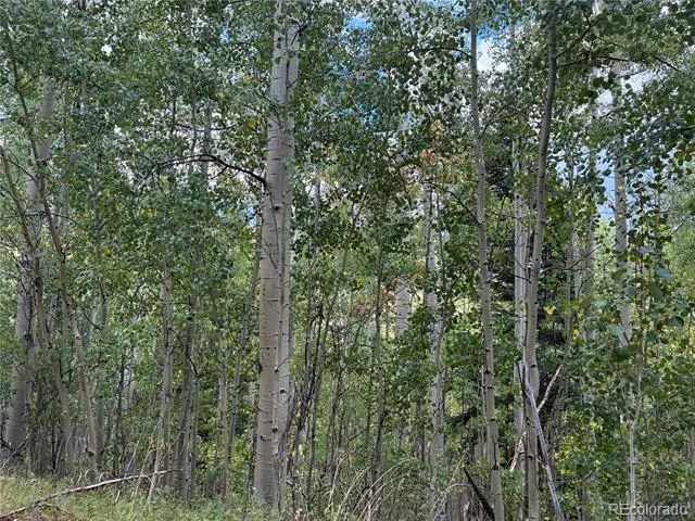 LOT 5835 Slegers Road San Luis, CO 81152