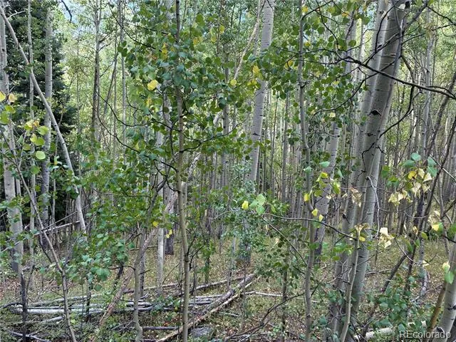 LOT 5835 Slegers Road San Luis, CO 81152