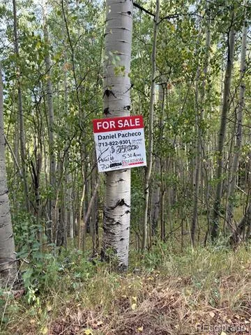 LOT 5835 Slegers Road San Luis, CO 81152