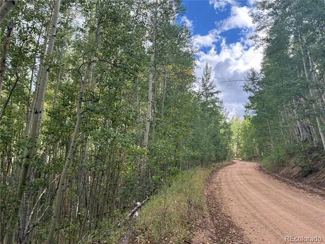LOT 5835 Slegers Road San Luis, CO 81152