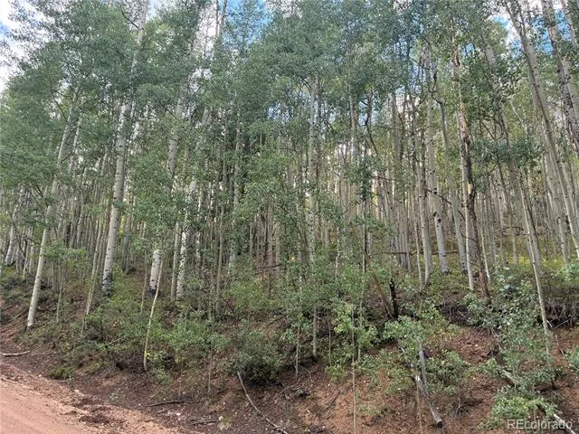 LOT 5835 Slegers Road San Luis, CO 81152